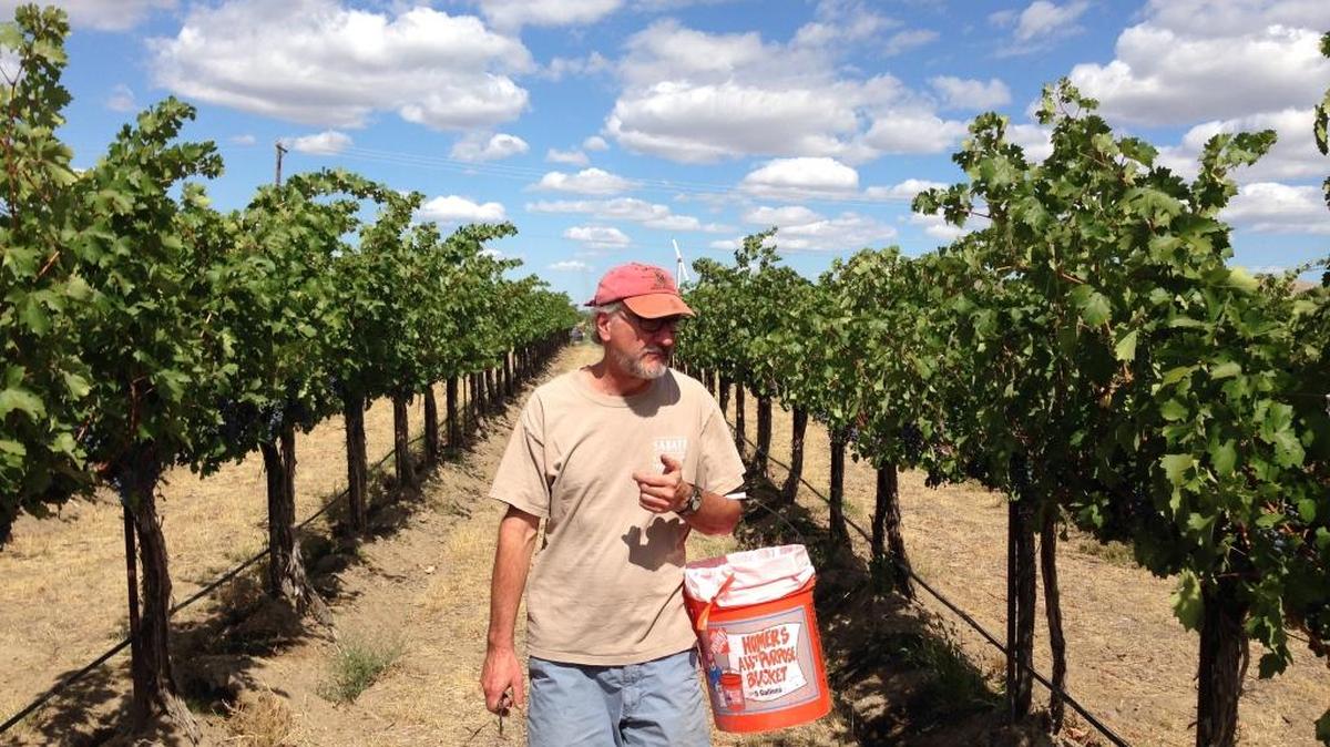 Brian Carter is the owner and winemaker at Brian Carter Cellars in Woodinville. His Abracadabra red wine is a blend of nearly a dozen grape varieties.