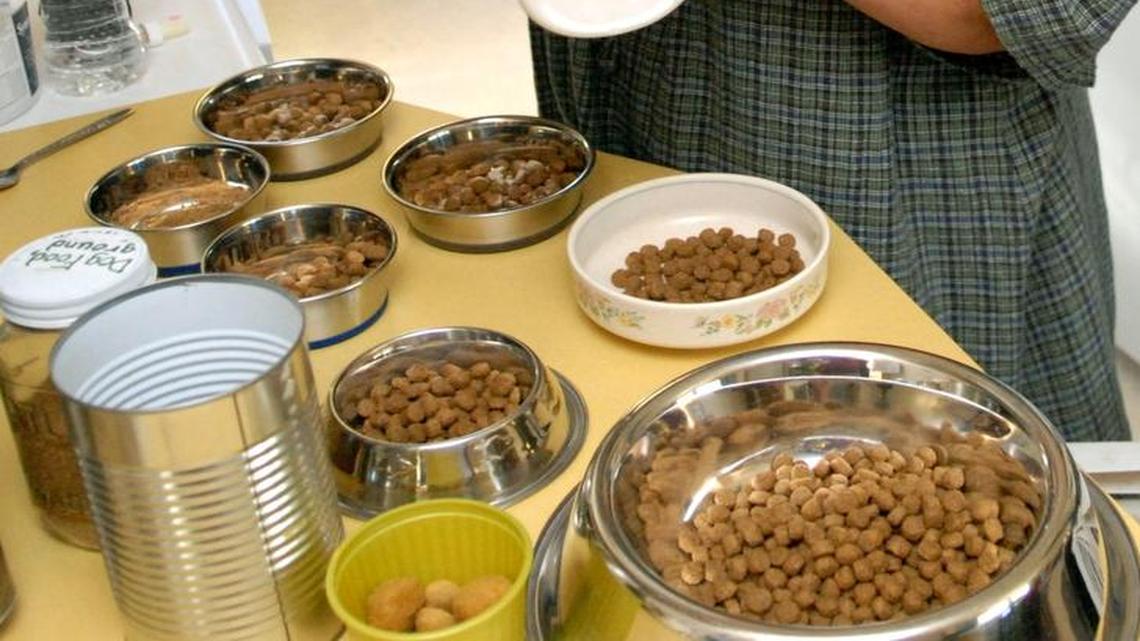 Animal Tales: How to choose the best dog or cat food