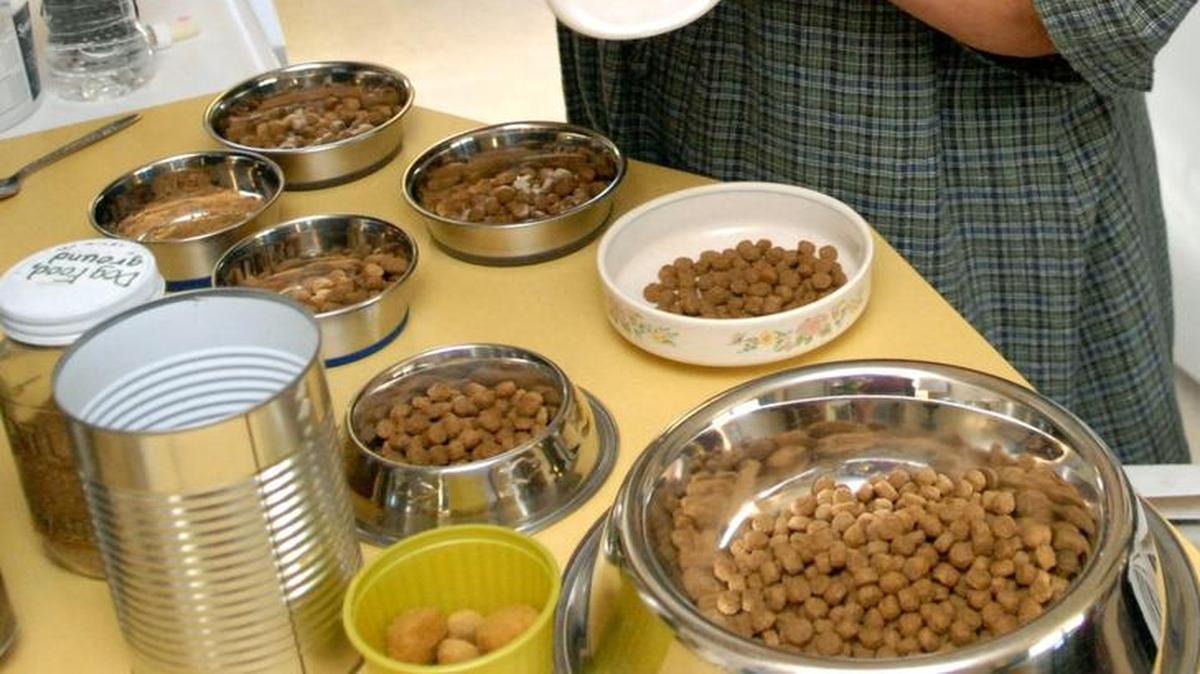 
Lisa Burns prepares seven bowls of food for her dogs in 2008. People should choose their pet food wisely, avoiding fillers and mystery ingredients.

