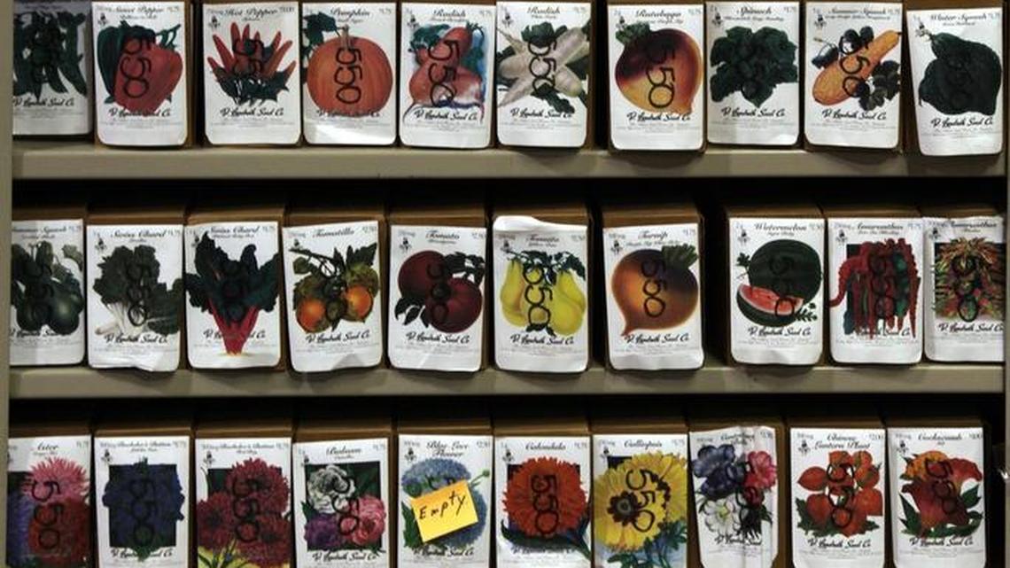 Ask a Gardener: How do I best save plant seeds?