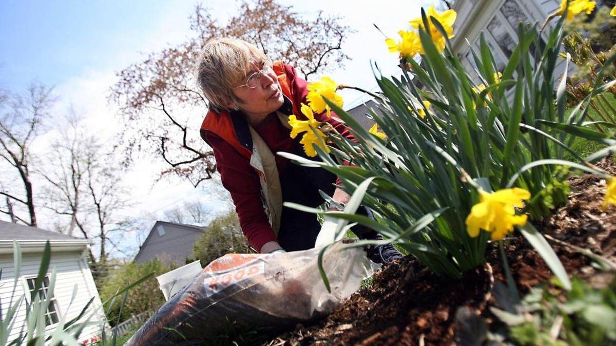 While the ground is still too wet for some garden chores, now is a good time to put fresh mulch in garden beds.