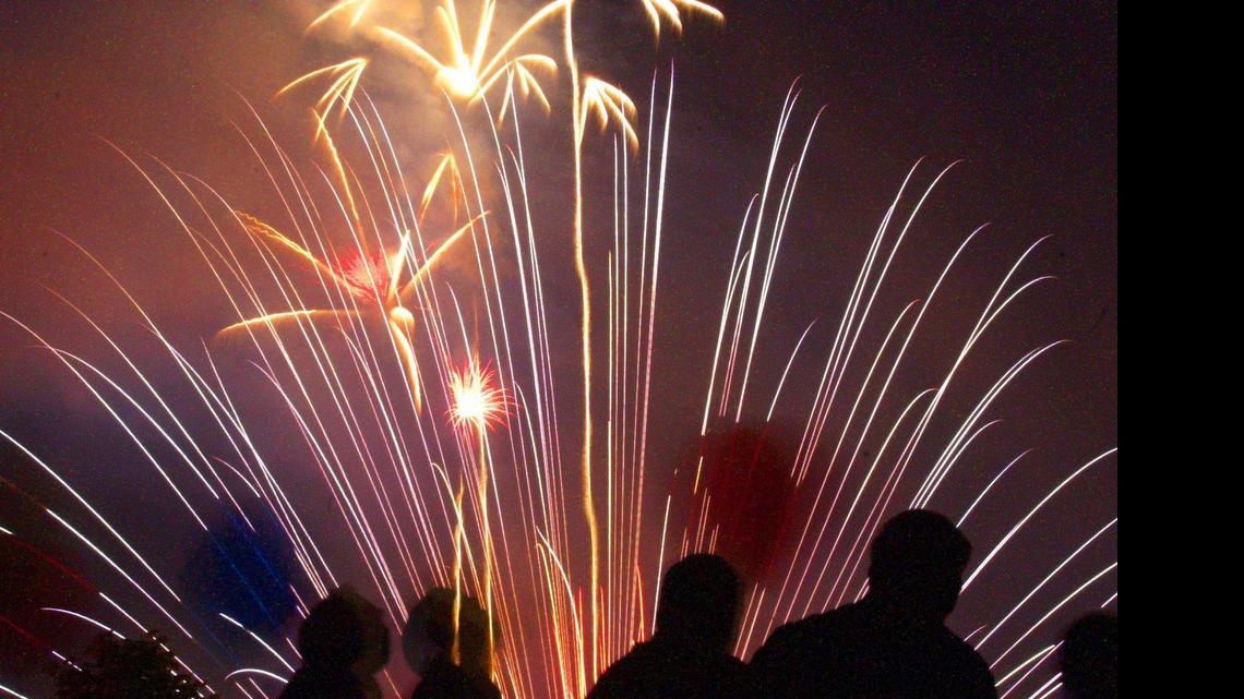 Animal Tales: How to prevent pet panic on July 4