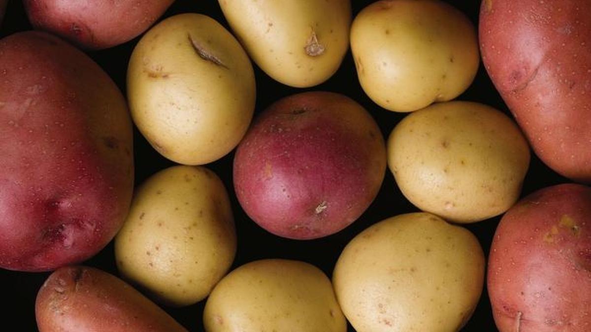 Potatoes contain 4.7 grabs of protein in a 7-ounce serving and can easily be grown here in Whatcom County.