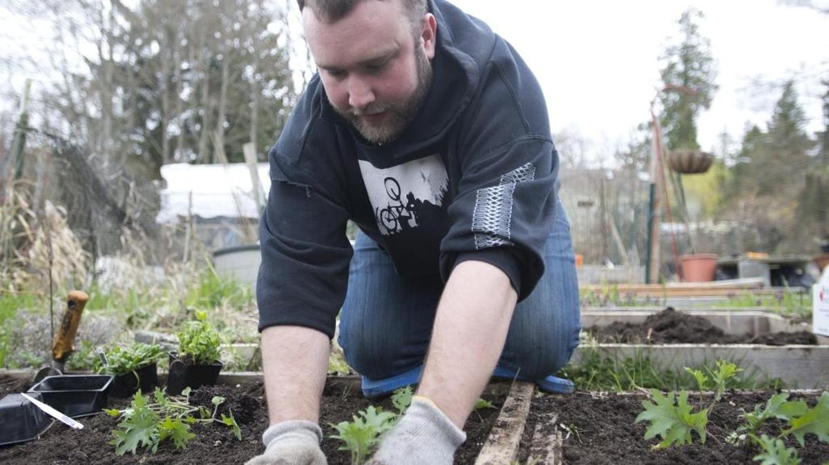 Cory DeWispelaere-Rusch plants kale in March 2014 at the Happy Valley community garden. Planning is an important first step in preparing your garden for planting.