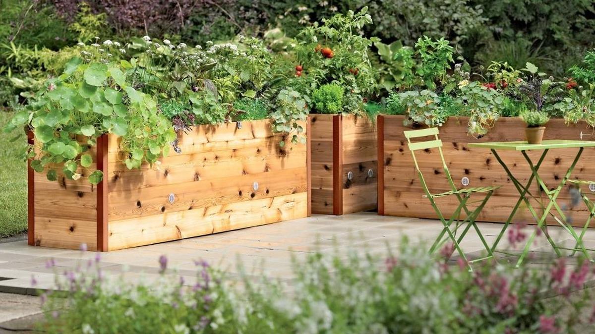 Raised gardening beds are much easier to take care of, easier on your back and can produce an amazing amount of food in a smallish space.