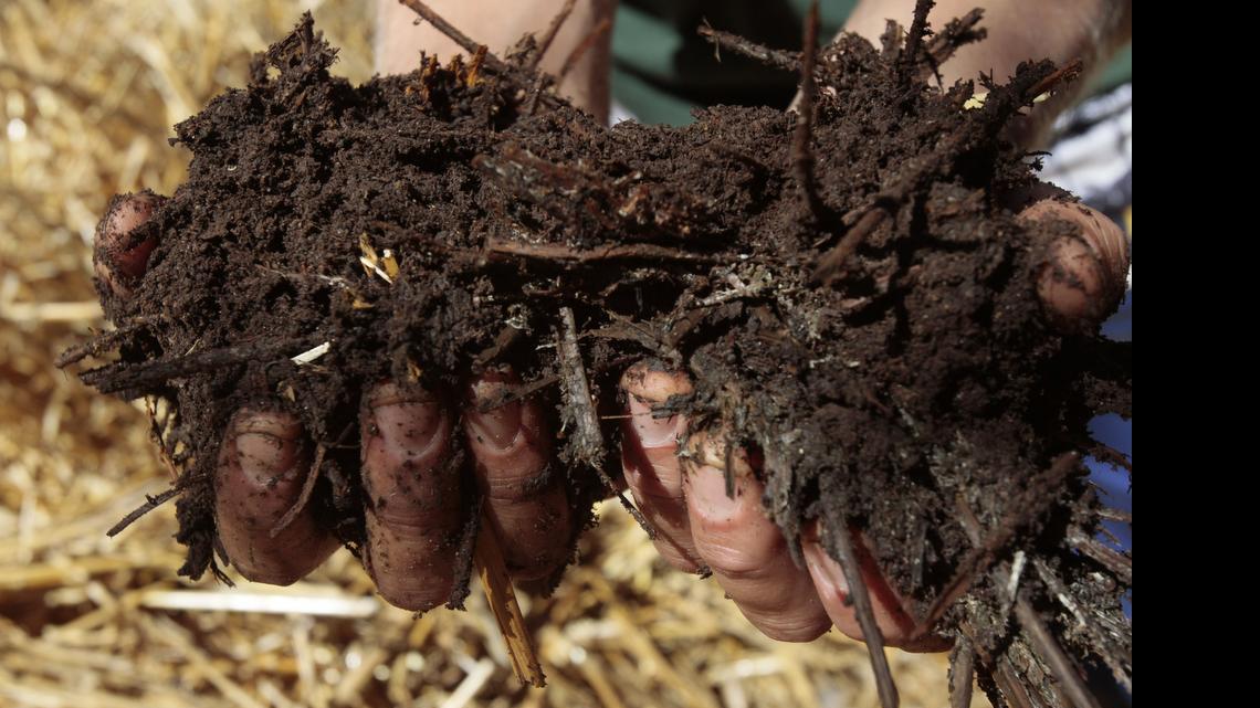 Ask a Gardener: Nitrogen helps compost destroy fly larvae
