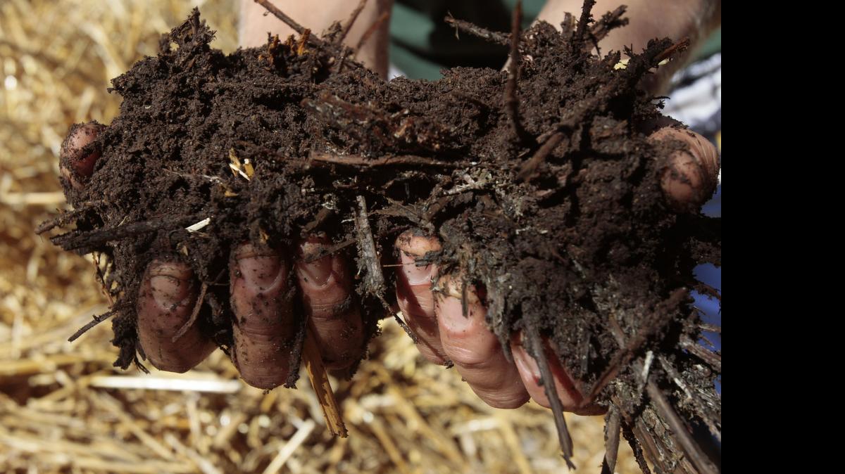 
Rich, loamy compost is a gardener’s gold. Turning weekly and adding nitrogen allow compost to heat up to destroy fly larvae.
