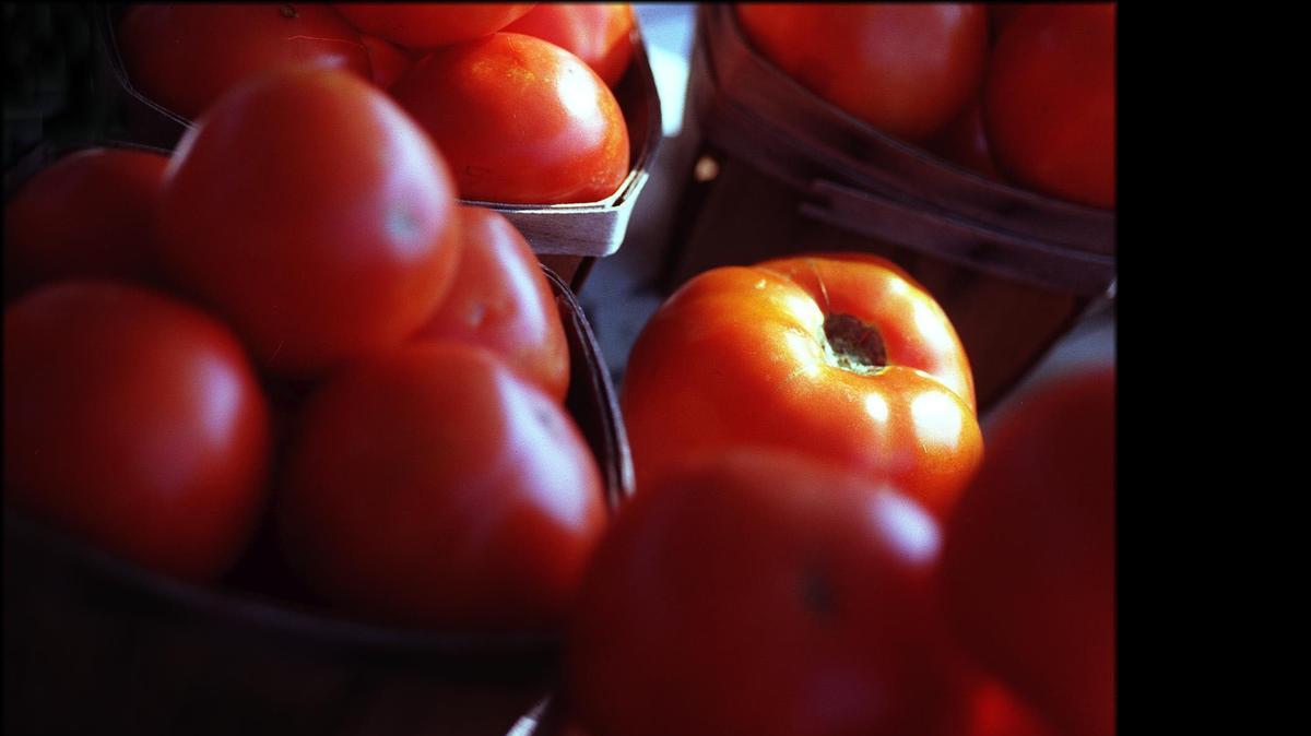
Home-grown tomatoes are a summer jewel, vine-ripened and eaten fresh. 
