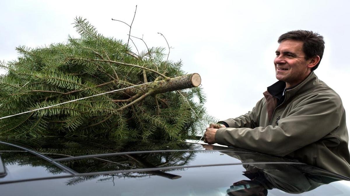Steve Clarke of Bellingham ties a tree from Manthey’s Christmas Treeland to the roof of his car in December 2014. When going to a tree farm, people should bring twine to secure their tree, unless they know the tree farm supplies such materials.