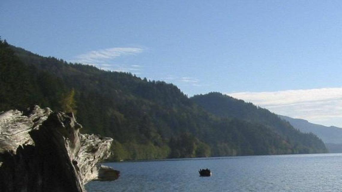 Hertz Trail: A walk through the woods, along Lake Whatcom