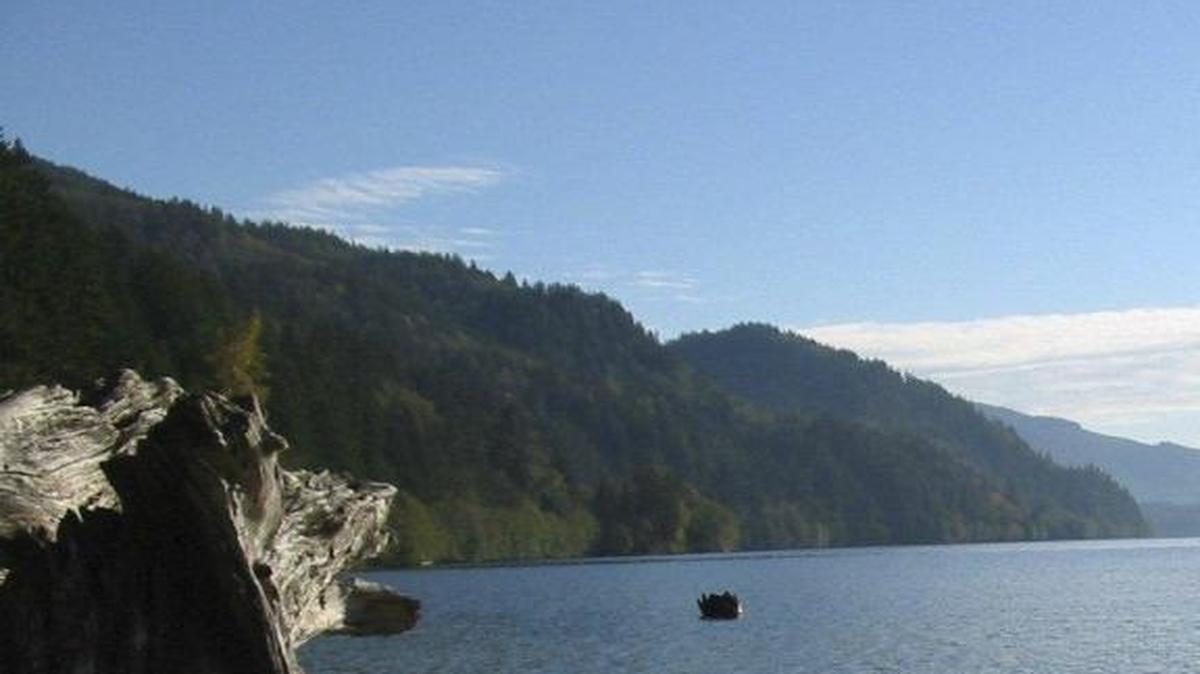 Enjoy views of Lake Whatcom from the Hertz Trail at North Lake Whatcom Park.