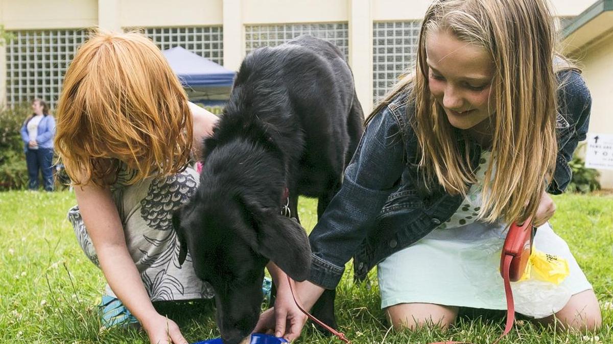 Lilah Radvaney, then 8, left, and her sister Ella, then 11, encourage their dog Luke, 3, during a peanut butter eating contest at the Paws and Claws Expo held by the Alternative Humane Society at Bloedel Donovan Park in July 2015.