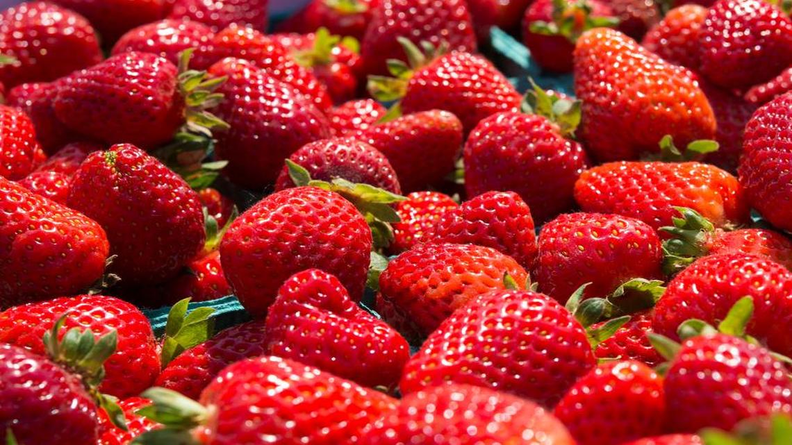 Whatcom County farms grow berries full of flavor and good nutrition