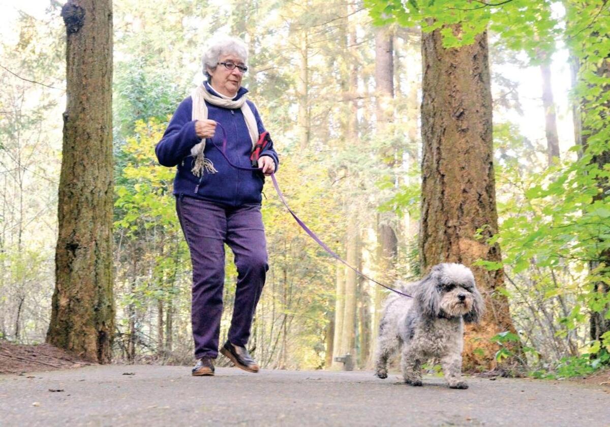 Mollie Faulkner walks her dog Mariah, a 4 year-old toy poodle mix, along the paths at Cornwall Park in October 2013.