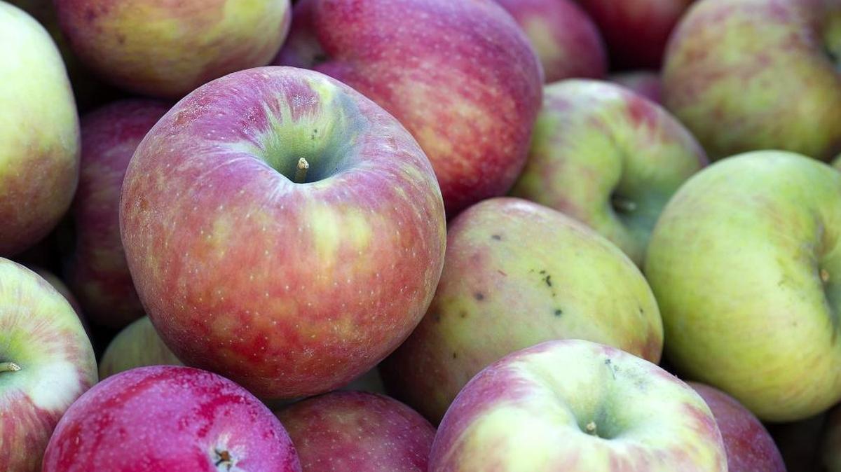 Apples, such as these McIntosh at Joe’s Garden in September 2014, are easy to find and full of nutrients even in the dead of winter.