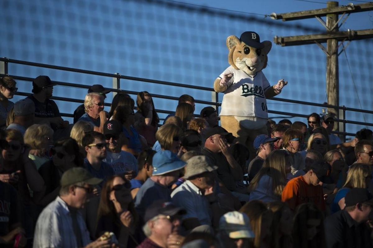 Bellingham Bells’ mascot Dinger joins the crowd at Joe Martin Field in Bellingham during a game in 2014. Fans are being allowed to return for the Friday, June 4, home opener. The number of fans will be capped at 50% capacity, which is 1,500 people.
