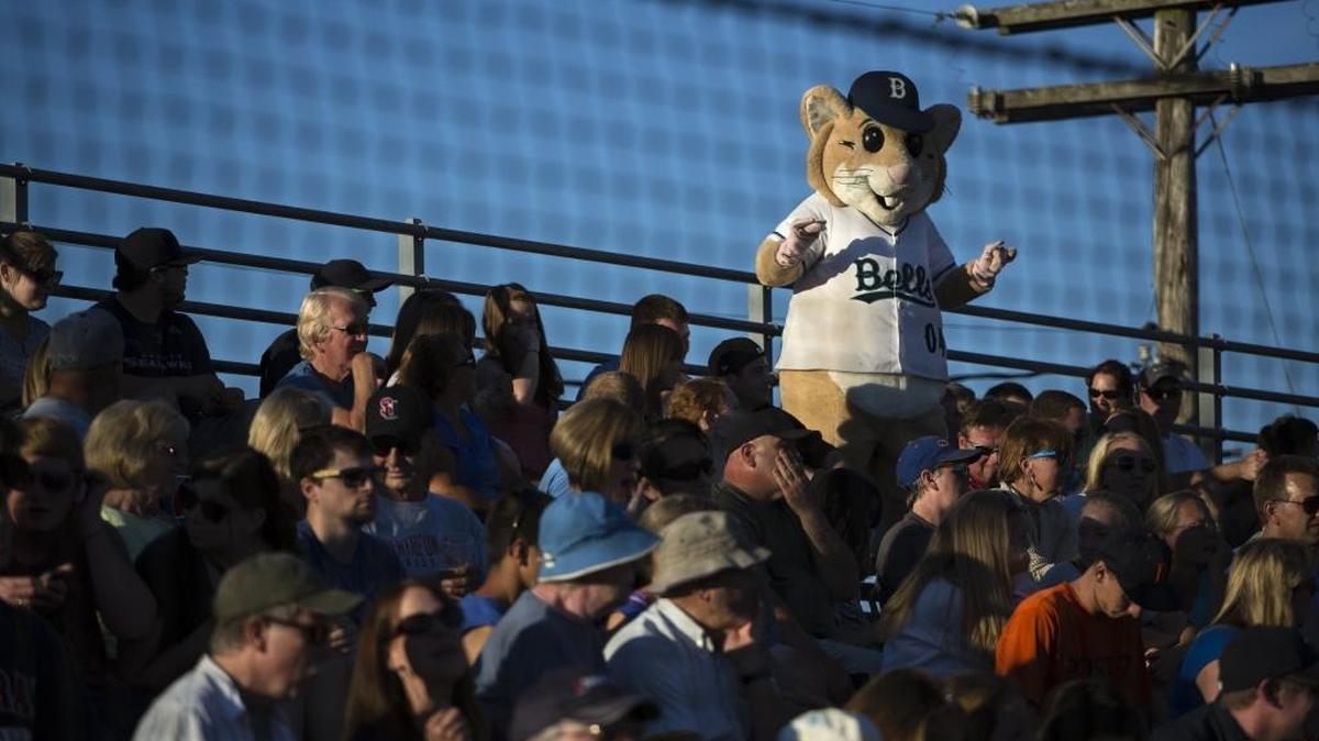Bellingham Bells’ mascot Dinger joins the crowd Thursday, July 30, 2014, at Joe Martin Field in Bellingham, Wash. Local fans have a reputation of moving up a row or two for seniors who need to use the bottom rows.