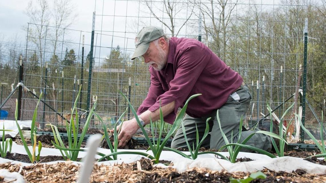 Fifty years ago, he wanted nothing to do with gardening; now look how he’s grown
