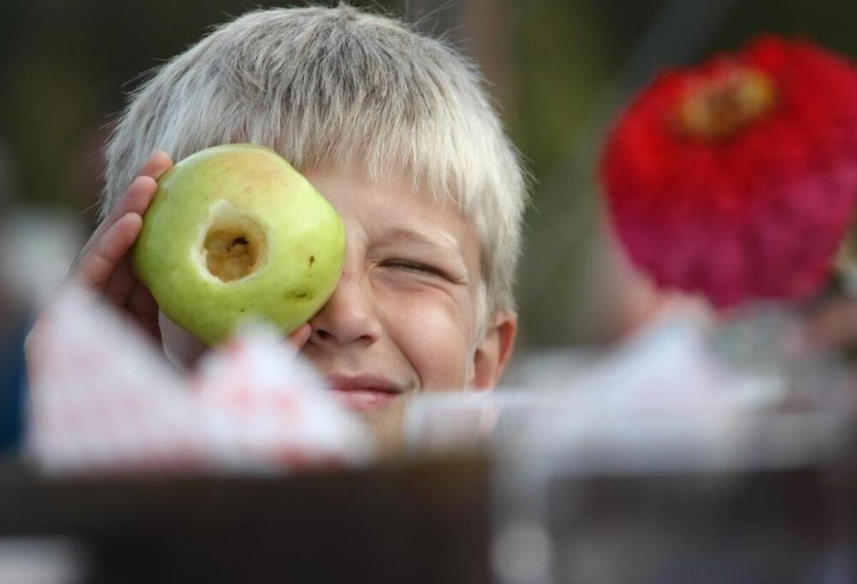 
Mason Lloyd, then 10, looks through a hole he created in his apple during the 2012 Whatcom Harvest Dinner at BelleWood Acres, near Bellingham. Apples are a healthy food for people of all ages.
