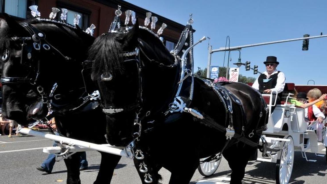 Where can you go to answer all your questions about Bellingham and the Lynden cemetery?