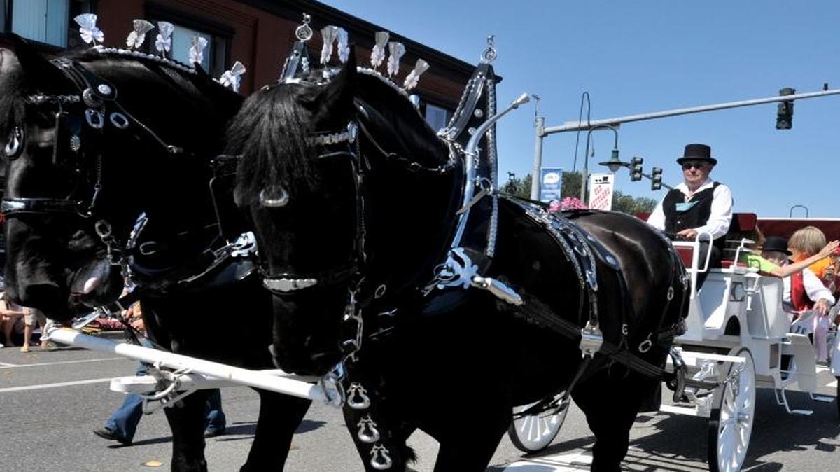 The Whatcom Old Settlers parade in downtown in Ferndale is one of many events in this long-time festival, July 28-30 at Pioneer Park.