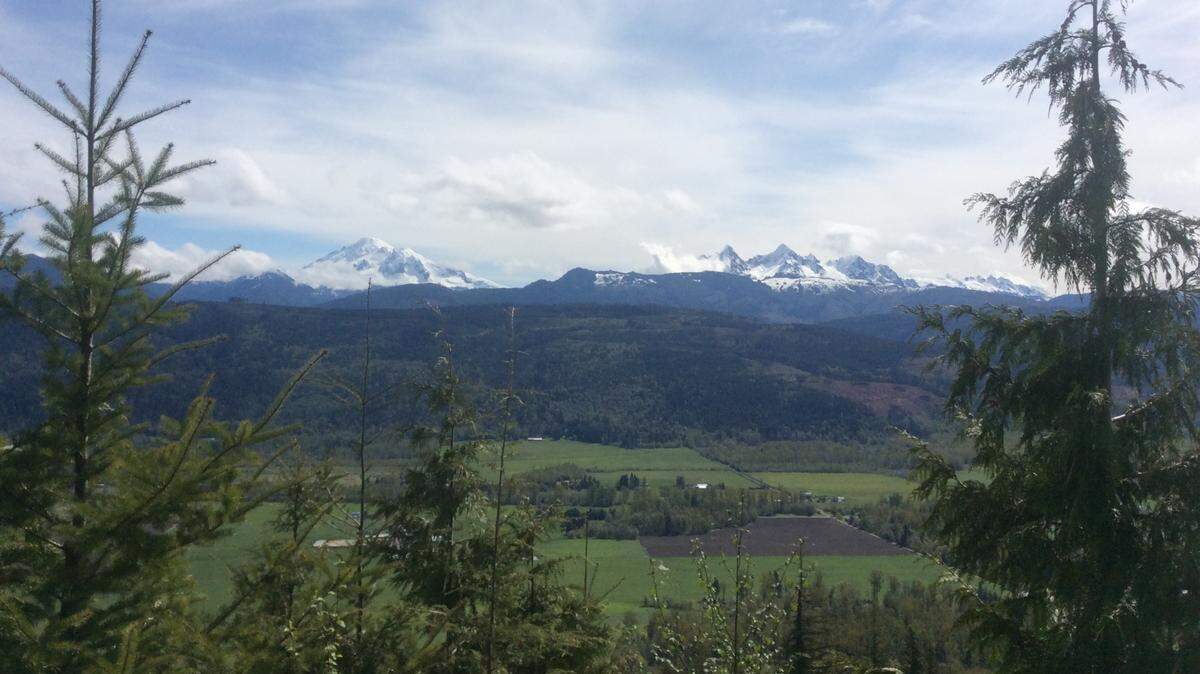 Land on Stewart Mountain in Whatcom County, Wash., in an undated provided photo, will be part of the Stewart Mountain Community Forest, a project of multiple organizations to purchase and transform 5,500 acres into a community forest. 