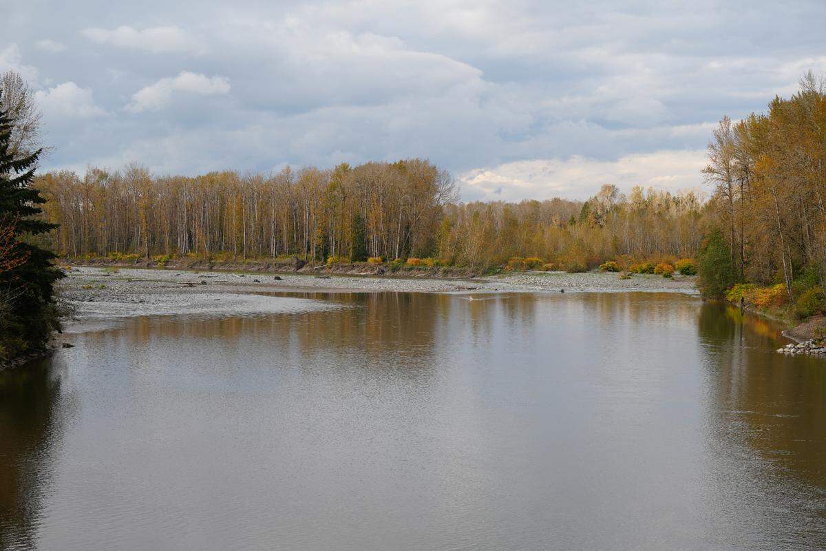 The Nooksack River flows on Oct. 17, 2024 at Nugents Corner in Whatcom County.