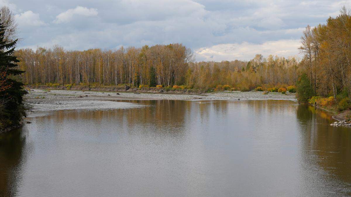 The Nooksack River flows Oct. 17 at Nugents Corner in Whatcom County.