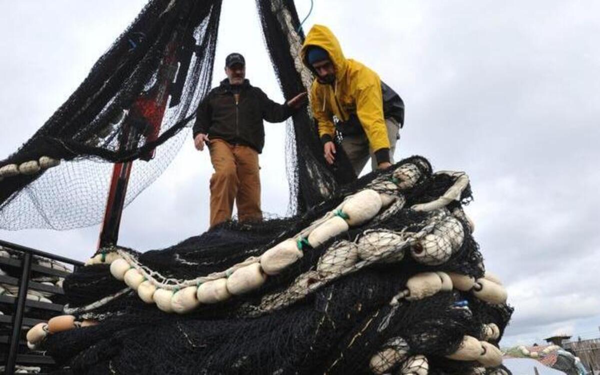 LFS Marine and Outdoor net hangers Tony Mihovilovic and his uncle Joe Mihovilovic deliver a seine fishing net to a storage area at Squalicum Harbor in Bellingham, Monday morning, Nov. 21, 2011.