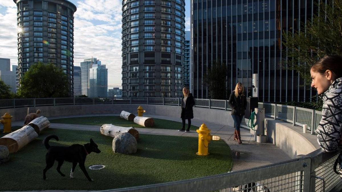 Amazon employees spend time with their dogs in a 17th-floor dog park on the company’s campus in Seattle on Nov. 6, 2017. For Seattle, Amazon has become far more than a big employer and taxpayer. It reshaped how the city sees itself and, in turn, is seen by the world.