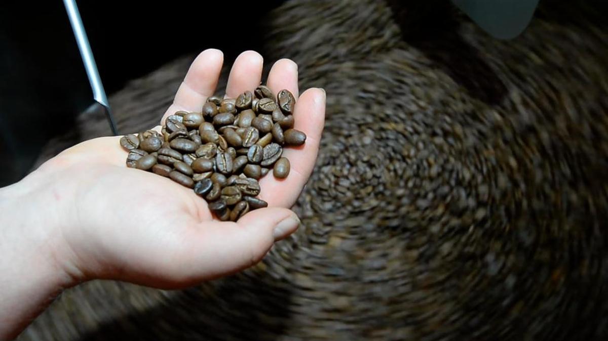 File photo of coffee beans at the Woods Coffee roasting facility on Lakeway Drive in Bellingham.