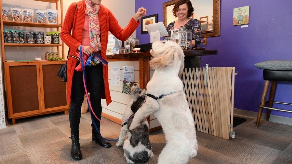 Customer Beth Zacher gives her dogs Esa, left, and Divot treats while store owner Sally Noble looks on at the new Village Green Pet Supply store in Fairhaven on Thursday, June 2, 2016. The store is open 10 a.m. to 6 p.m. every day but Tuesday.
