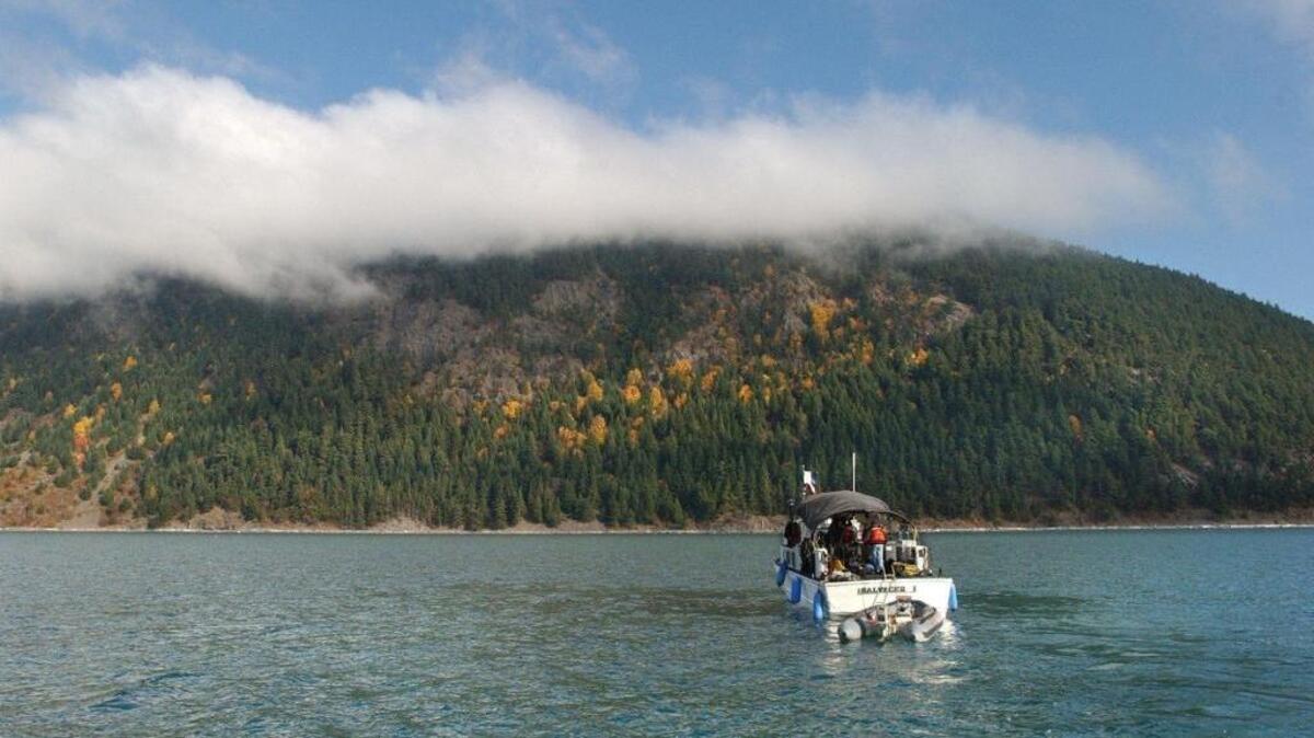A view of the western shore of Lummi Island. PogoZone will soon be handling the cable system services for the island after acquiring the systems from Mt. Baker Cable.