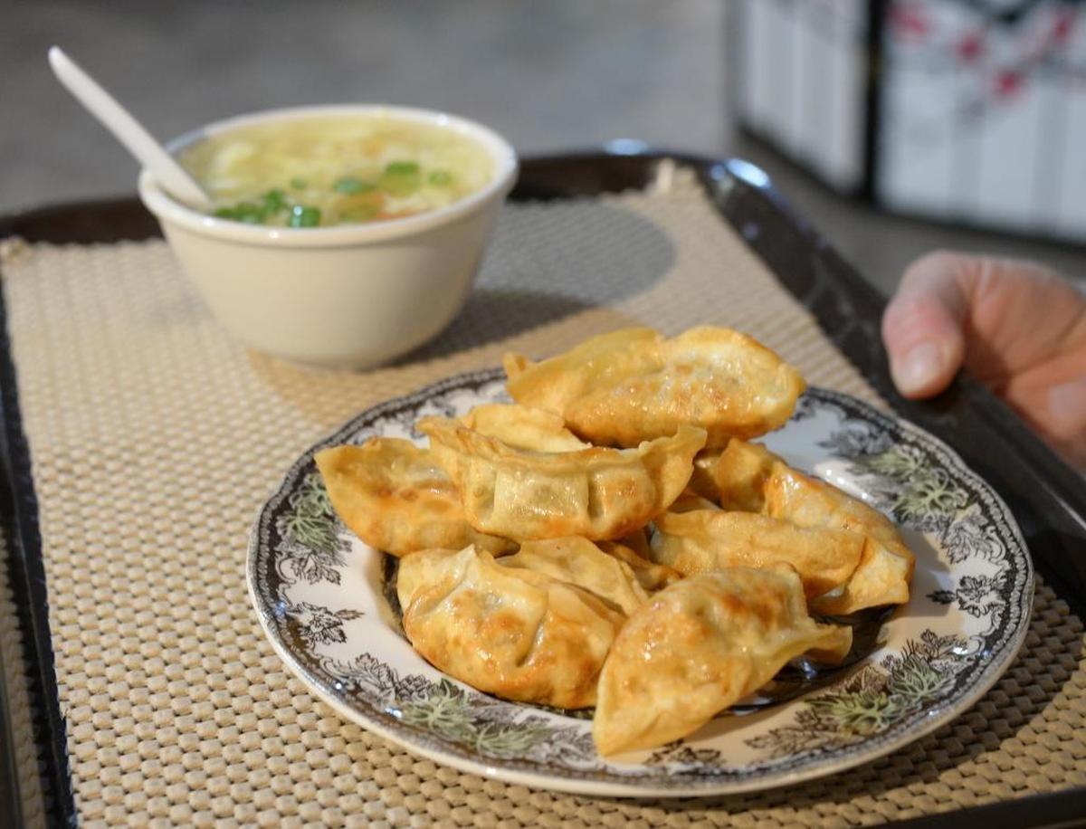 Potstickers for lunch at the Dumpling King restaurant on Cornwall Avenue in Bellingham Thursday, May 11, 2017.