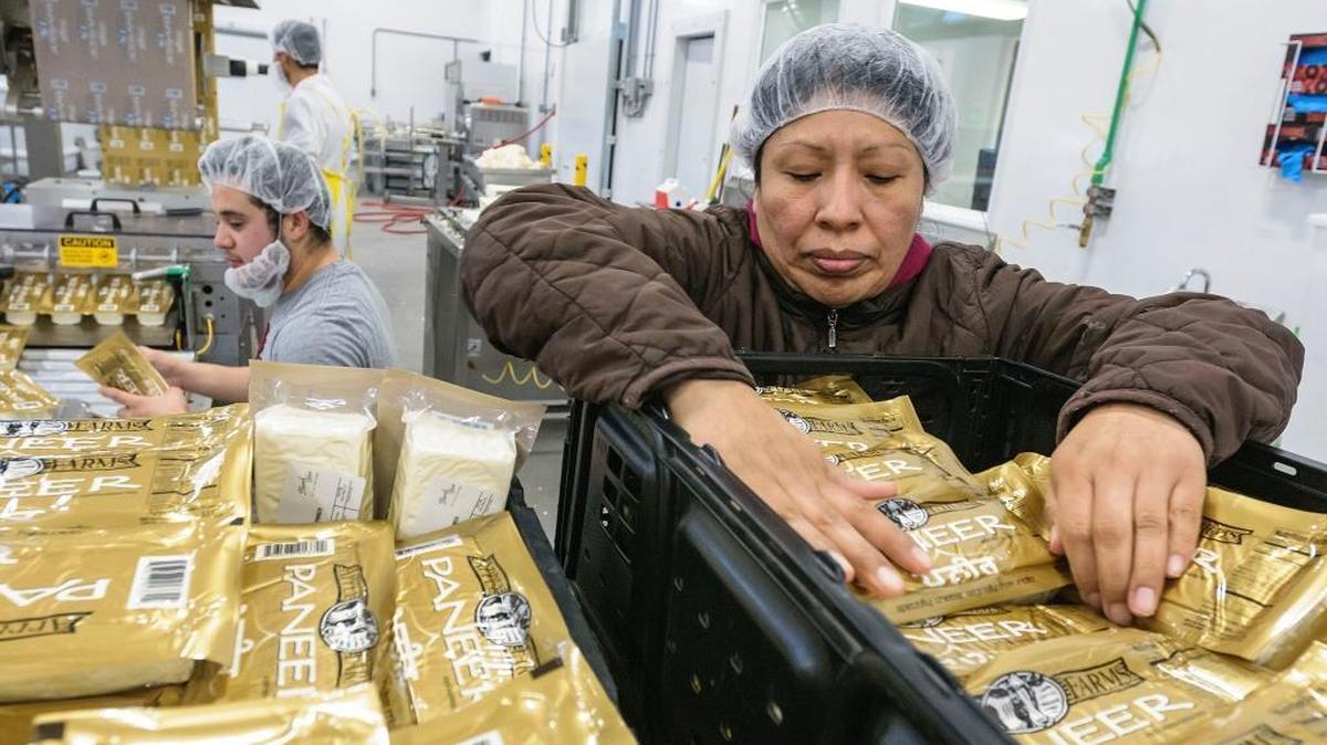 Maria Linares loads freshly packed paneer cheese into crates Friday at the Appel Farms facility near Ferndale.