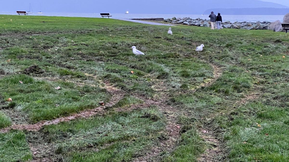 Vandalism caused by an off-roading driver at Boulevard Park is shown early Friday.
