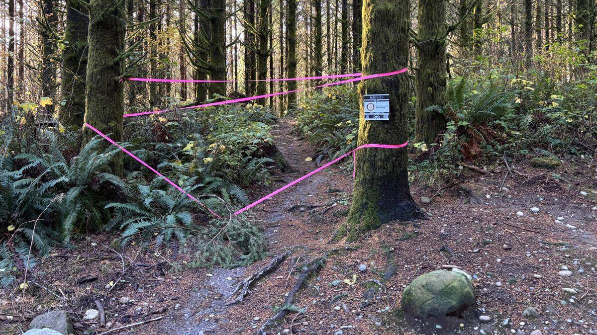 The Galbraith Mountain trail “Old Issues” is one of many trails currently closed for logging in the area.