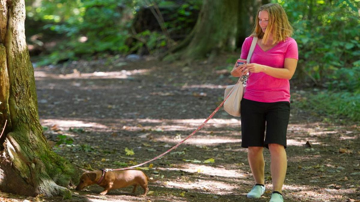 
Meaghan McAloney of Vancouver, B.C., walks her dog Daisy through Lincoln Park in Blaine Monday afternoon, July 27, 2015, while geocaching. Blaine City Council will decide whether to put a four-year levy on the Nov. 3 ballot to pay for parks and trails projects

