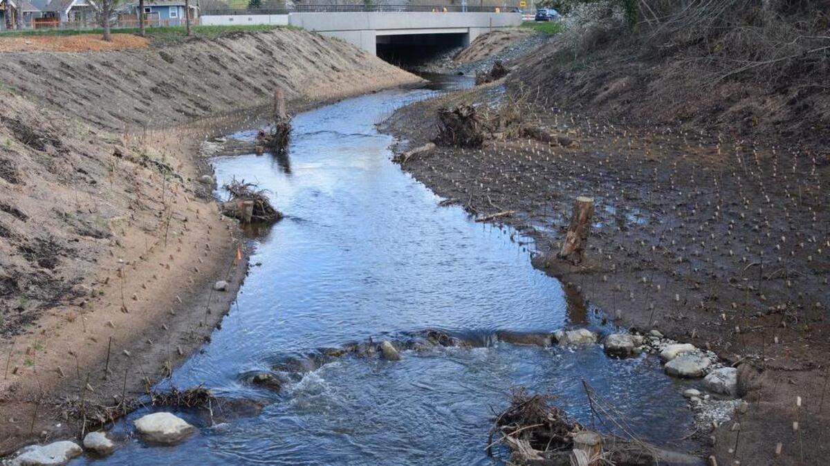 Water flows through Padden Creek in Bellingham on Feb. 29, 2016. The city of Bellingham and Strider Construction have each been fined $9,000 after as much as 300,000 gallons of sewage was piped into Padden Creek over three days during a sewer replacement project in February.