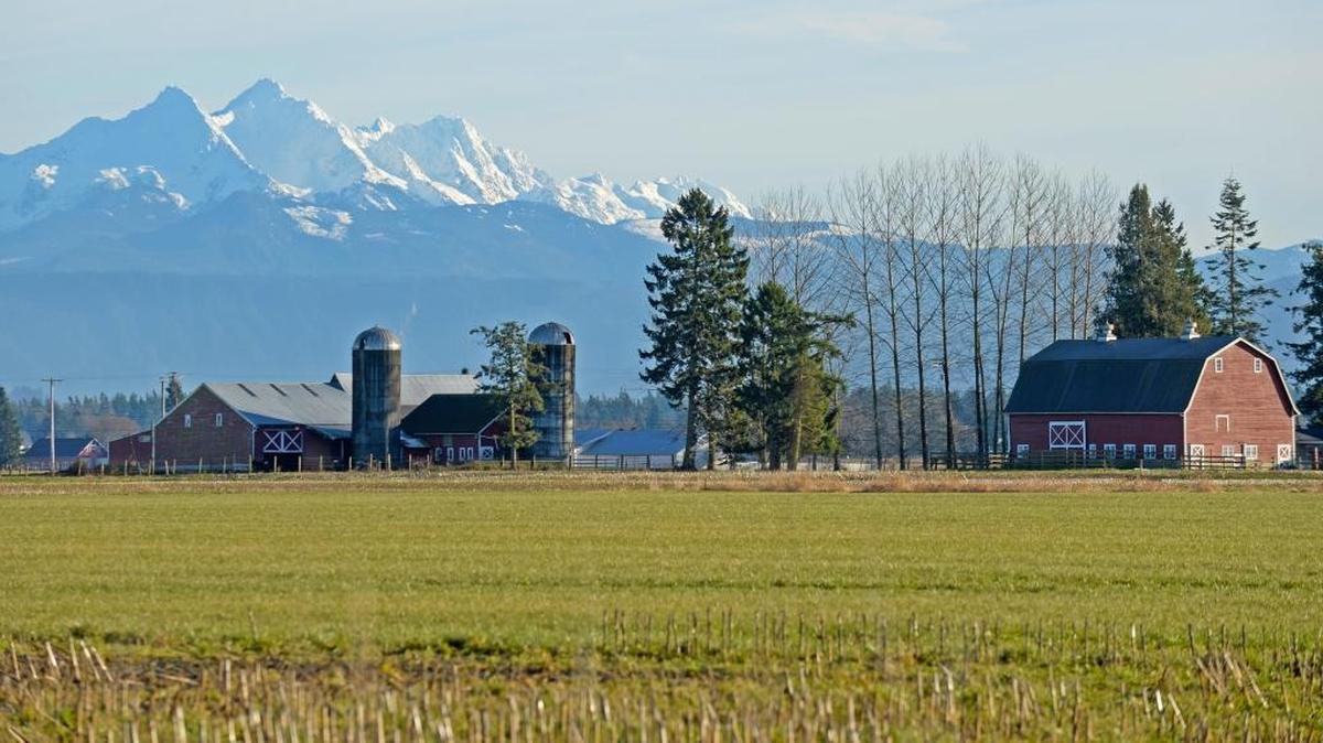 Whatcom County was selected as a rural Health Equity Zone due to it being an agricultural center.