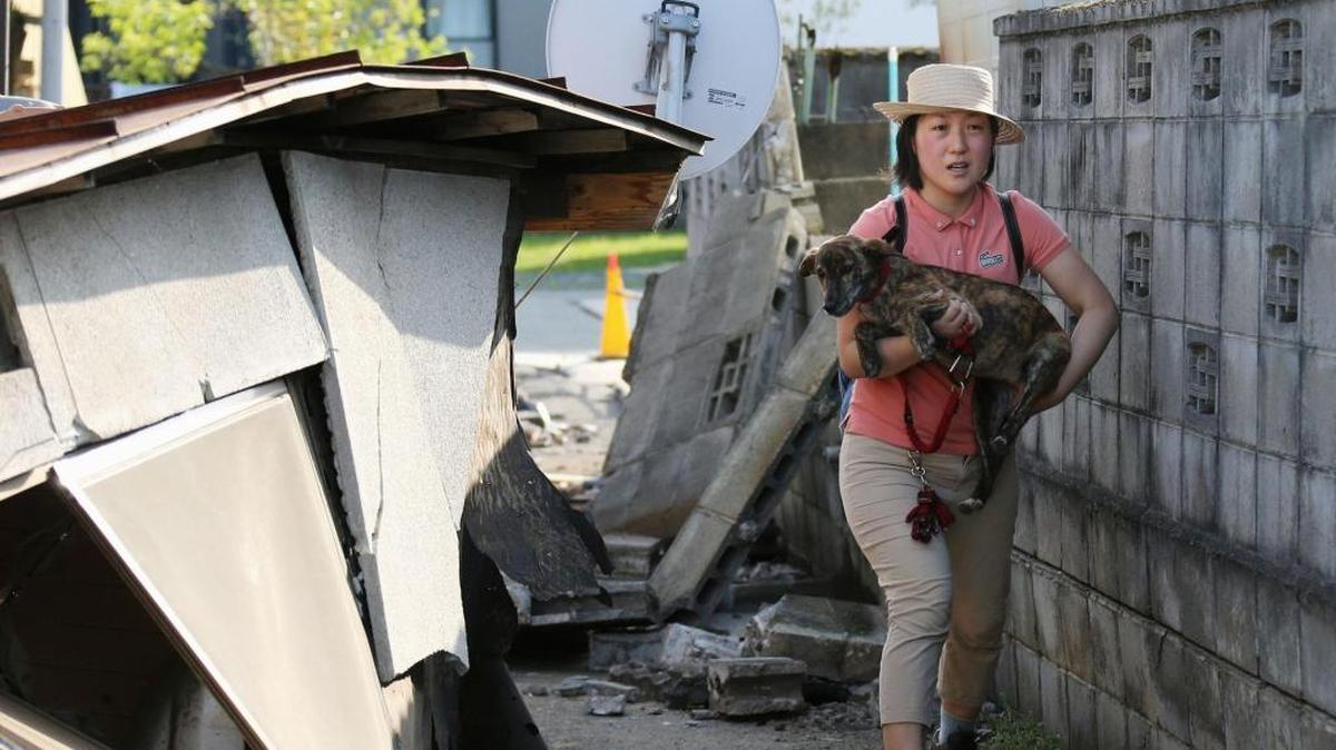 A resident carrying a dog walks by houses damaged by a magnitude-6.5 earthquake in Mashiki, Kumamoto prefecture, southern Japan on April 15, 2016. Whatcom County residents can learn April 25 how they could help out should a much larger quake shake the Bellingham area.