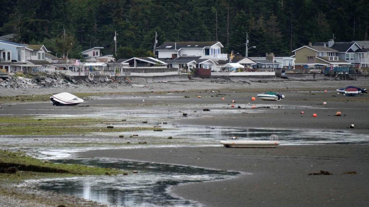 Houses line the shoreline along Birch Bay on Tuesday, Aug. 2, 2016. A new study by Zillow, the online real estate company, estimates nearly 2,000 homes in Birch Bay would be underwater if sea levels rise as some scientists predict.