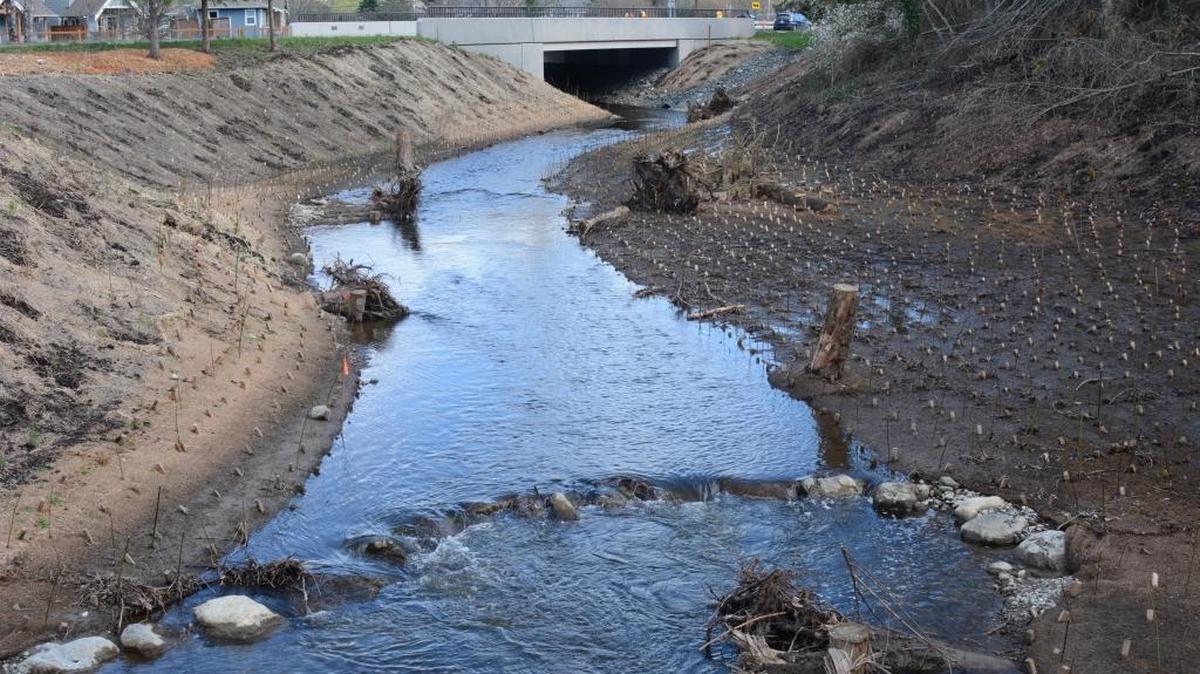 Padden Creek in Bellingham on Monday, Feb. 29. People were warned to stay out of the creek after a sewage spill; the water was deemed safe March 4.