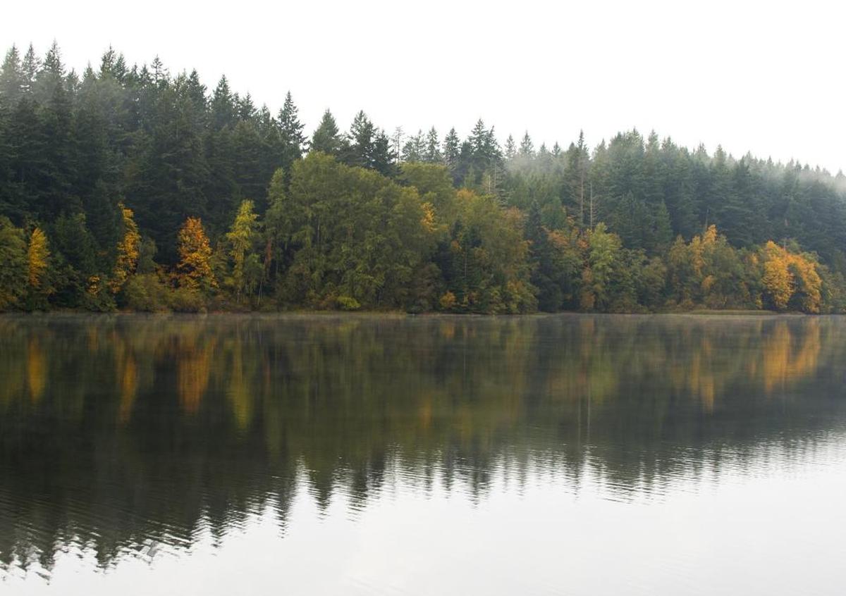 Lake Padden is pictured October 2015.