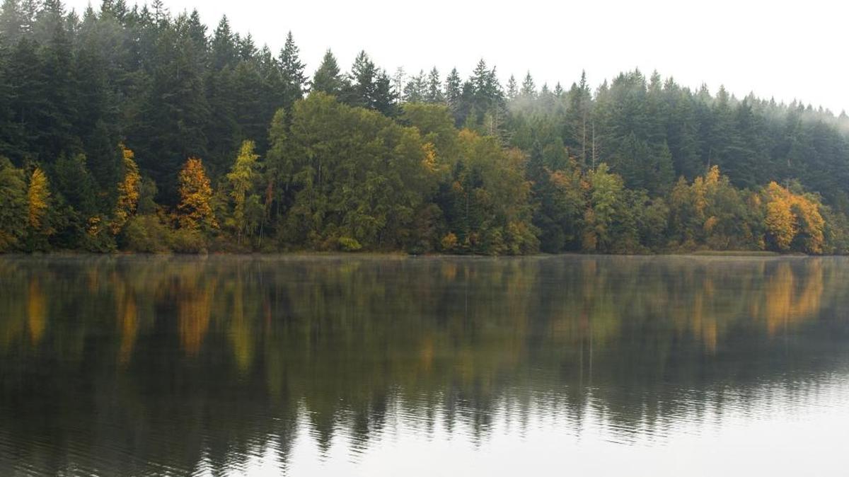 Firefighters have contained a small wildfire burning on a hillside south of Lake Padden, the state Department of Natural Resources said.