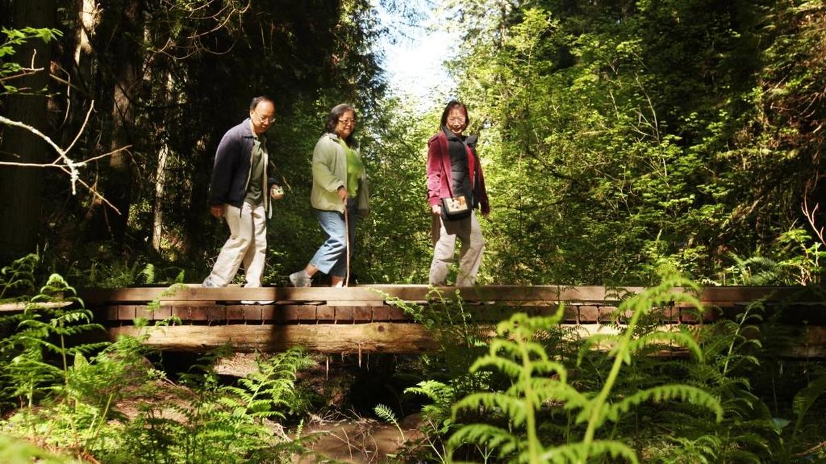 Visitors cross a bridge at the Stimpson Family Nature Reserve on May 9, 2010. Work to replace worn-out deckings on trail bridges will begin Wednesday, May 4, 2016.