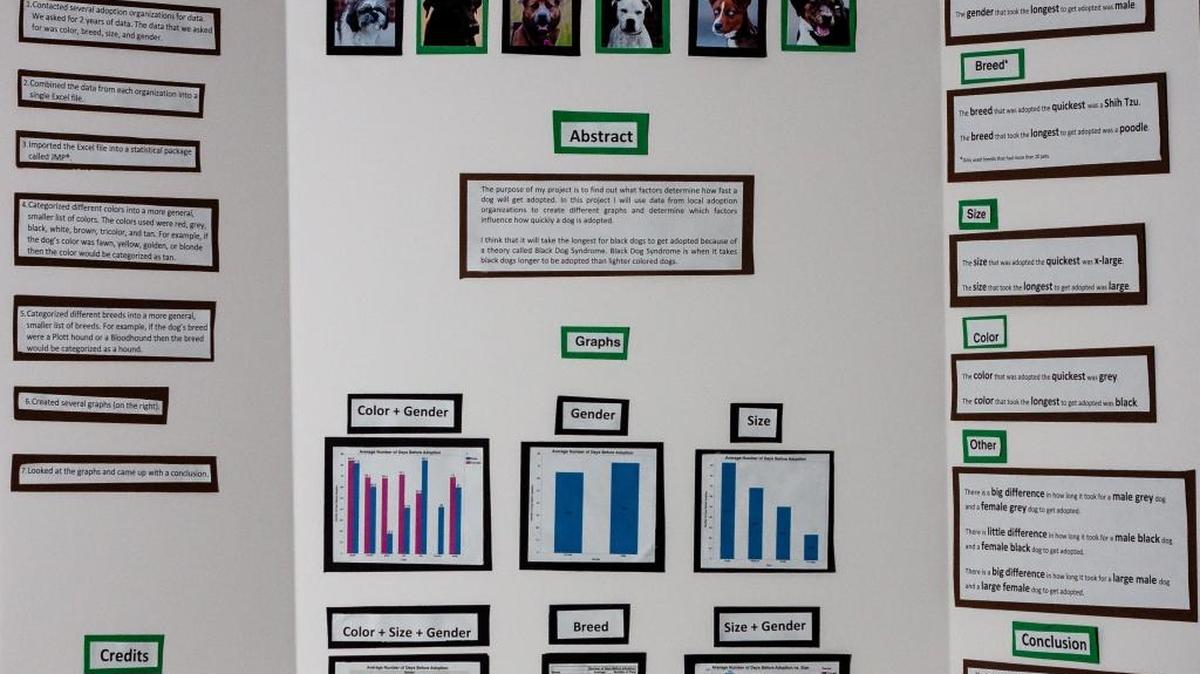 Students will be displaying science projects such as this one that examines “black dog syndrome,” or why black dogs take longer to adopt in animal shelters.