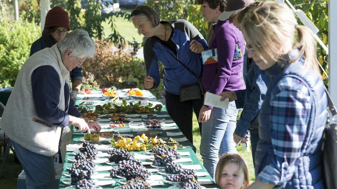 Scenes from the 2015 Fall Fruit Festival at Cloud Mountain Farm Center in Everson, Wash.
