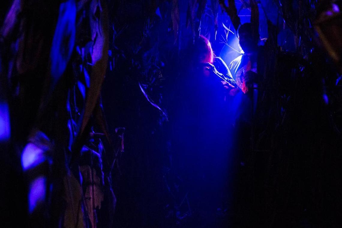 A haunted house at Boundary Bay Brewery in Bellingham in 2015. Haunted attractions in Seattle and Kelso were ranked nationally in 2025.