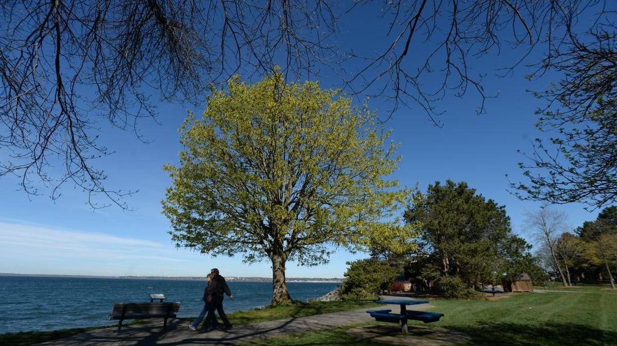 Two people enjoy a break in the clouds at Boulevard Park in Bellingham.
